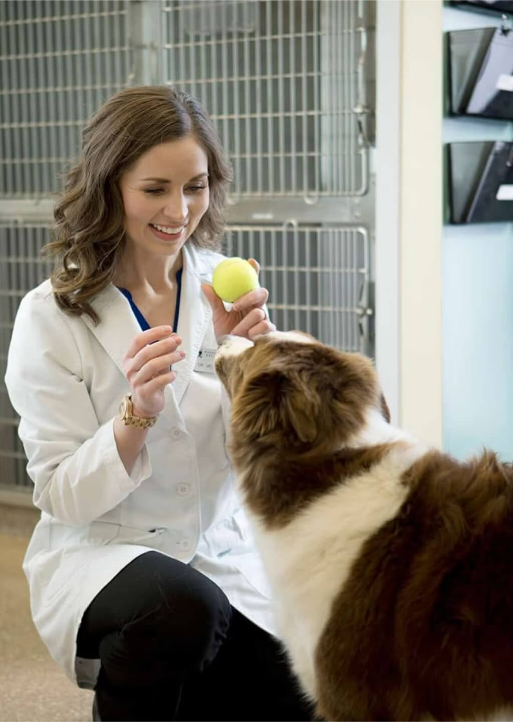 dr.katona ramona nagy