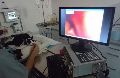 Endoszkóp kép Endoszkóp kép