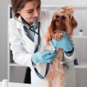 Dr. Horváth Daniella